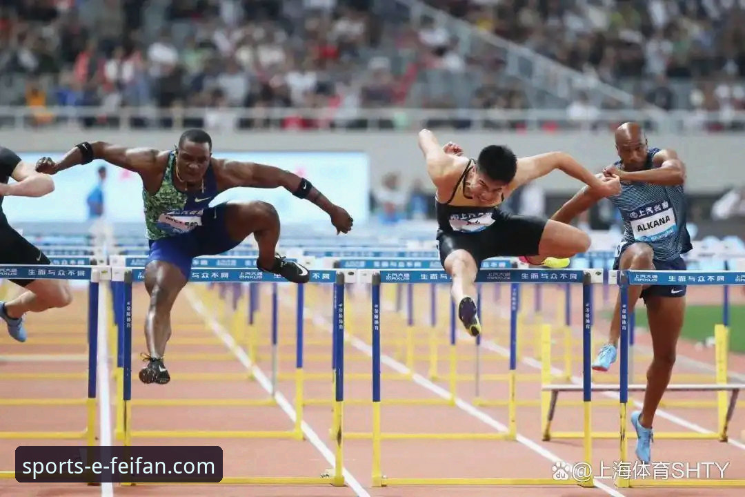 非凡体育服务特色 非凡体育平台服务特色深度解析与高效使用教程